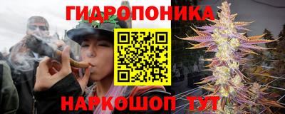 Альфа ПВП Малоярославец