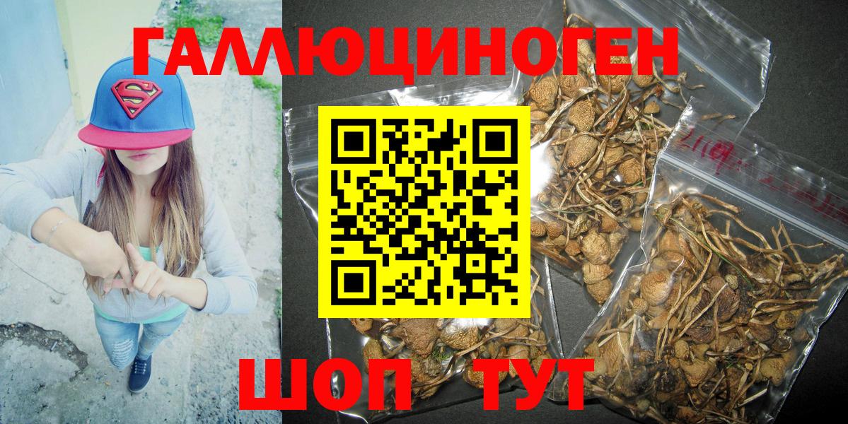 Галлюциногенные грибы мухоморы Строитель
