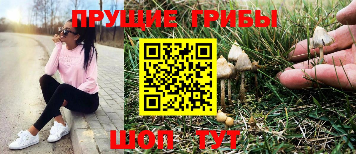 Псилоцибиновые грибы мухоморы  Вход с VPN  Строитель 